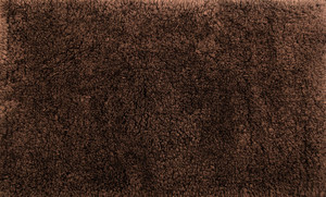 HomeStrap Polyester Bath Mat Bath Rug