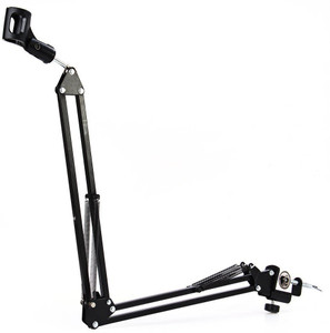 Robustrion Stand-2 Arm Stand