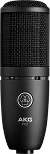 AKG P120 Recording Microphone
