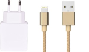 Zootkart Wall Charger Accessory Combo for Apple iPhone 5S