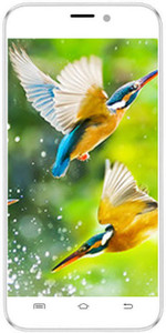 Intex Aqua Q8 (White, 8 GB)