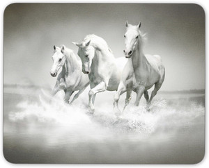 Digiclan Group Of White Horse Mousepad