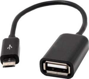Blue Apple USB OTG Adapter