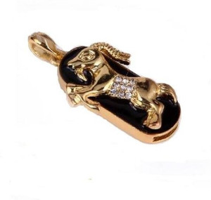 Microware Zodiac Sign Capricorn 8GB 8 GB Pen Drive