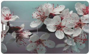 Printland Season Flower PC163419 16 GB Pen Drive