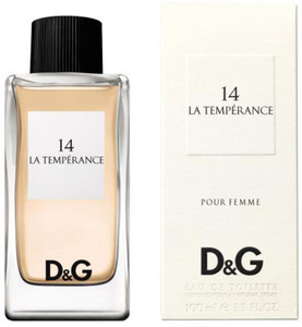 Dolce store gabbana temperance