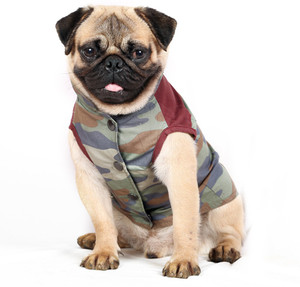 PETSLIKE Dress for Dog Price in India Buy PETSLIKE Dress for Dog online at Flipkart