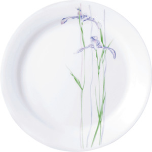 Corelle Asia Shadow Iris Medium Plate Set