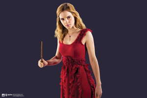 Hungover Hermione Granger Poster Harry Potter Special Paper Poster Paper Print Best Price In India Hungover Hermione Granger Poster Harry Potter Special Paper Poster Paper Print Compare Price List From Hungover