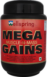 Wellspring Mega Weight Gainers