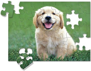 Melissa and doug golden retriever outlet