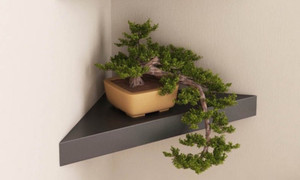 Arsalan corner by ANAS MDF Wall Shelf