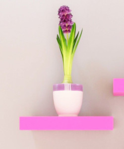 Arsalan MDF Wall Shelf