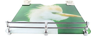 Royal Indian Craft Floating Bracket Multicolor 9 By 11 Inch Set Top Box/Speaker Glass Wall Shelf