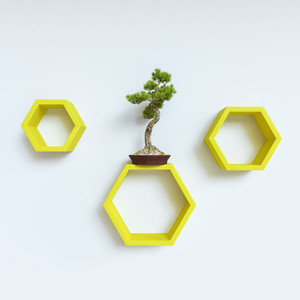 DecorNation Hexagon Shape MDF Wall Shelf