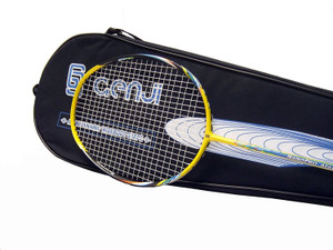 Genji Sports Hammer system NanoPro AT badminton racquet G4 Strung