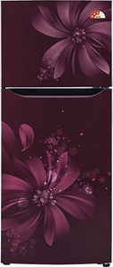 LG 260 L Frost Free Double Door Refrigerator
