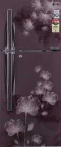 LG 284 L Frost Free Double Door 4 Star Refrigerator(Graphite Florid, GL-I302RGFL)