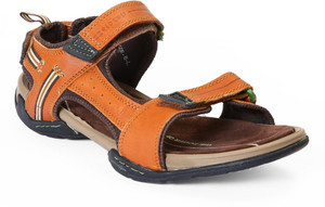 red and chief sandal price