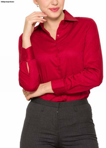 Park avenue ladies formal sale shirts