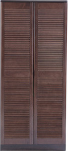 HomeTown Engineered Wood Shoe Cabinet