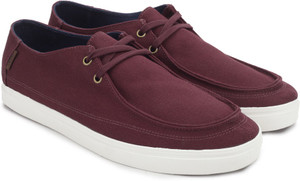 Rata vulc sf top