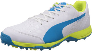 PUMA evoSPEED R 3.4 Cricket Shoes For Men Buy Multicolor Color