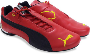 Puma 2025 cat 10