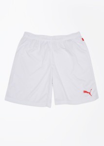 puma shorts price