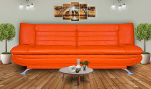 Dolphin Double Foam Sofa Bed