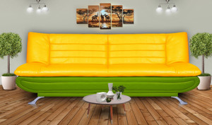 Dolphin Double Foam Sofa Bed
