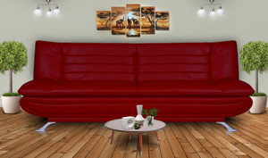 Dolphin Double Foam Sofa Bed