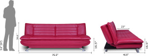 Dolphin Double Foam Sofa Bed
