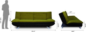 Dolphin Double Foam Sofa Bed