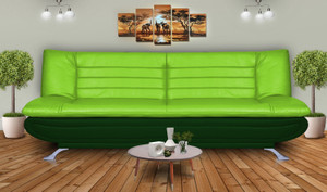 Dolphin Double Foam Sofa Bed
