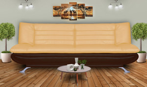 Dolphin Double Foam Sofa Bed