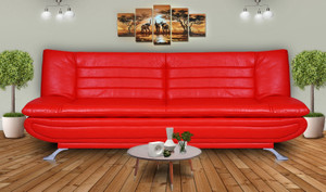 Dolphin Double Foam Sofa Bed