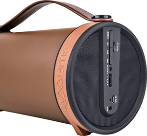 iball music barrel bt31 price