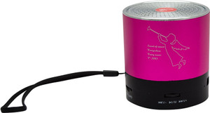 Speed Usb Mini Rechargeable FM / Micro Sd Card / Usb Player Portable Mobile/Tablet Speaker