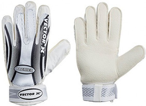 Vector X Premier Goalkeeping Gloves (Men, Multicolor)