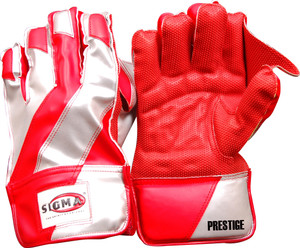 Wicket keeping gloves under 250 new arrivals