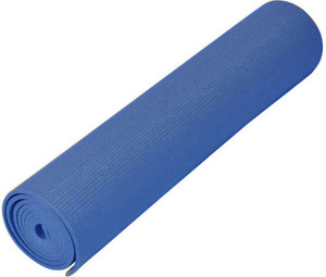 Skyfitness Yoga Mat Blue 4 Mm Exercise Gym Mat Best Price In India