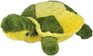 Babysid Collections Soft Toy Turtle - 14 cm