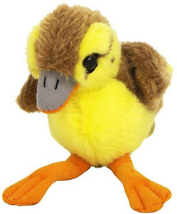 Wild Republic Wr87227 Ba Mallard Duckling