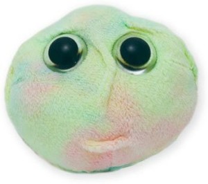 Giant Microbes Hematopoietic Stem Cell Educational Plush