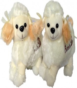 Chinmayi Cute Soft sheep combo - 20 cm