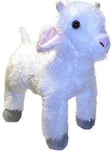 Adore Plush Company 12
