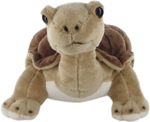 Hamleys Land Turtle Soft Toy - 9.8 inch