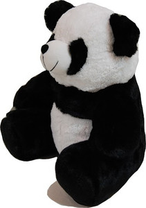 Surbhi Panda 18inchs - 18.11 Inch