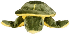 VRV Green Turtle Soft Toy - 8 inch